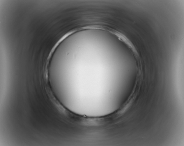 X0000083990908200703091843