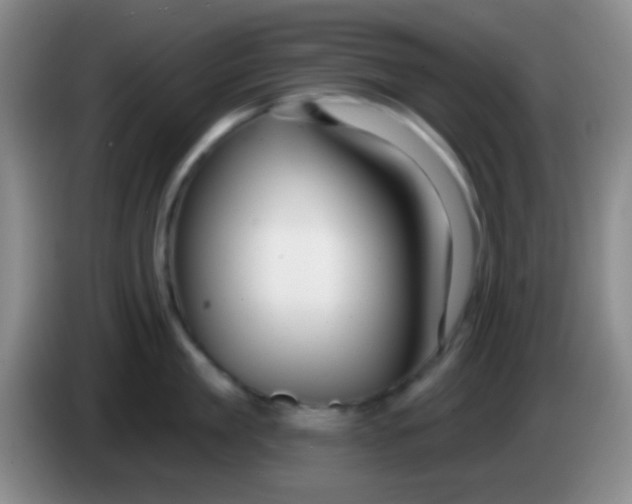 X0000083990909200703091843