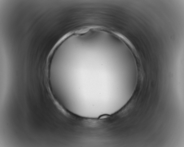 X0000083990910200703091843