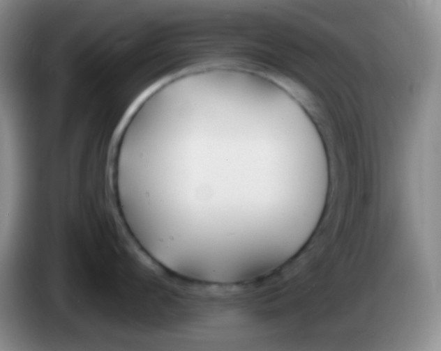 X0000083990912200703091842