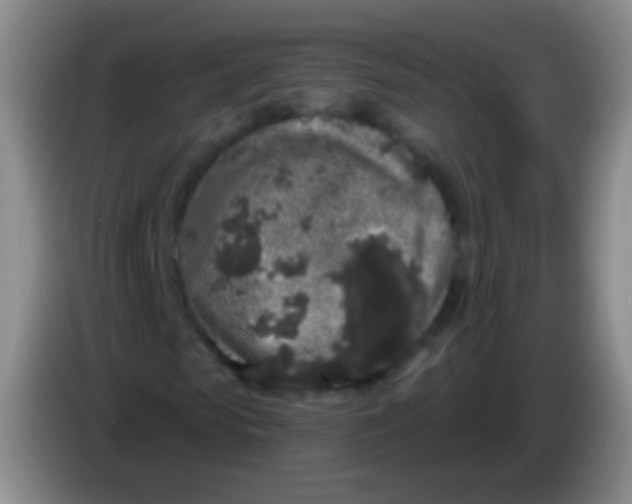 X0000083990913200703091842