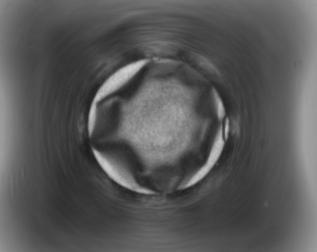 X0000083990915200703091842