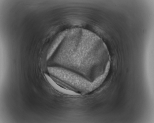 X0000083990916200703091842