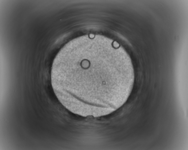 X0000083990918200703091842