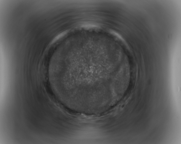 X0000083990919200703091842