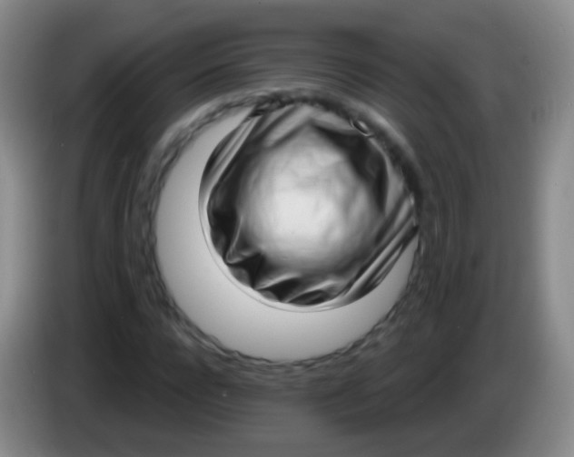 X0000083990920200703091842