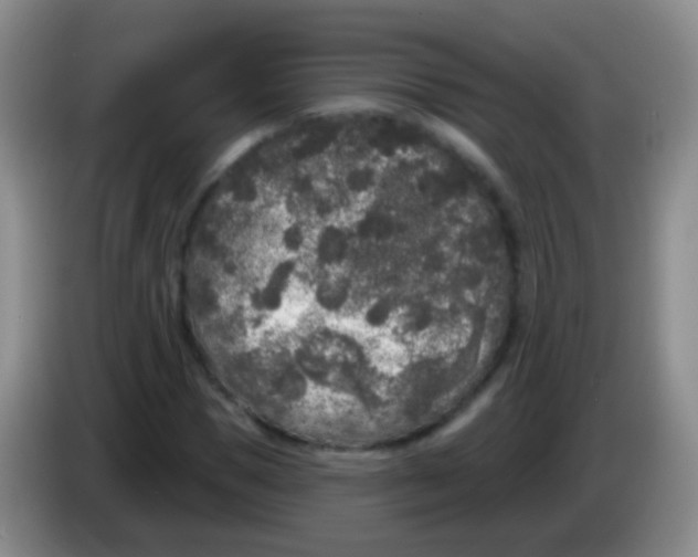 X0000083990921200703091842