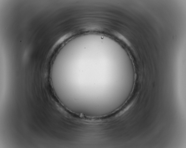 X0000083990922200703091842