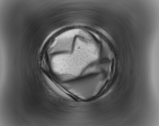 X0000083990926200703091842