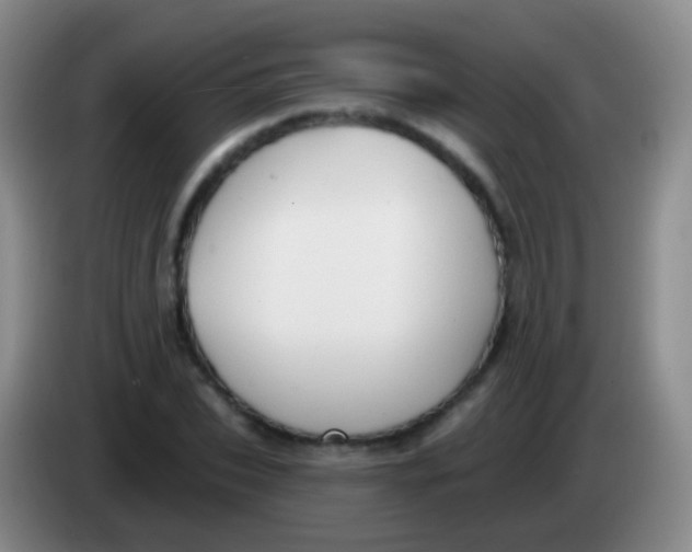 X0000083990927200703091842