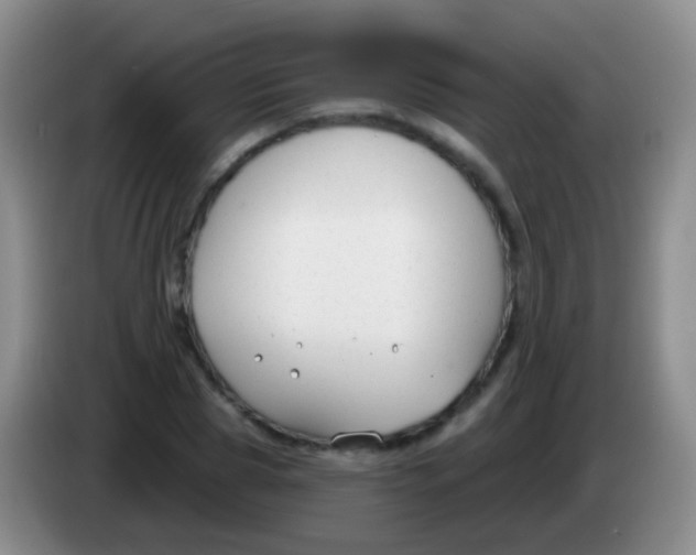 X0000083990929200703091842