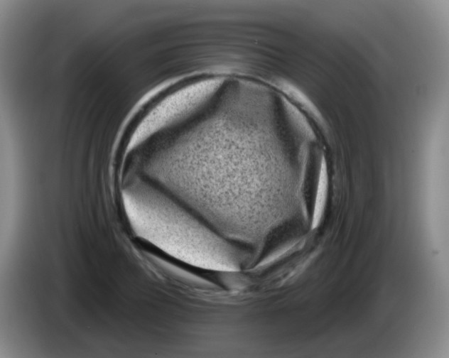 X0000083990932200703091842