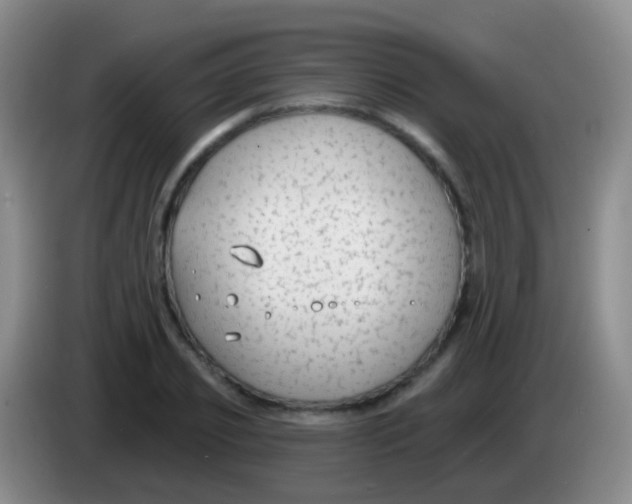 X0000083990933200703091842