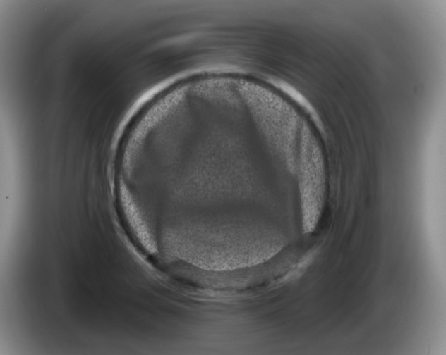 X0000083990935200703091842