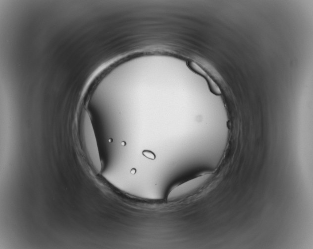 X0000083990936200703091842