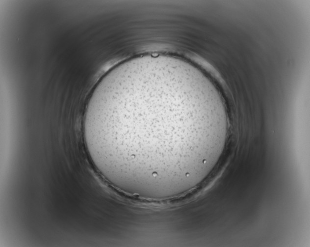 X0000083990937200703091842