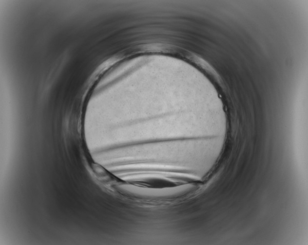 X0000083990938200703091842