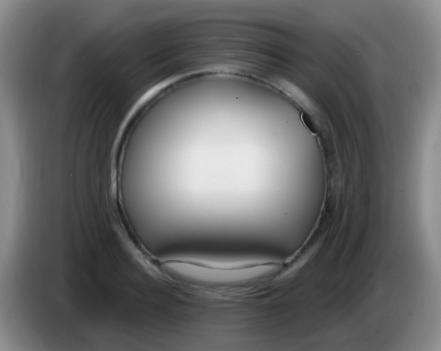 X0000083990940200703091842