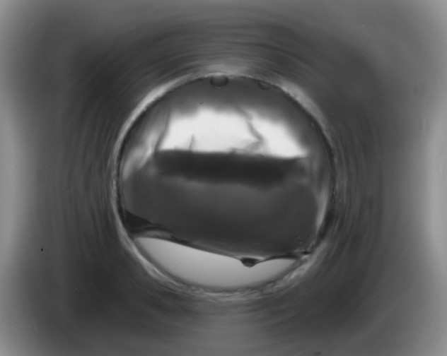 X0000083990941200703091842