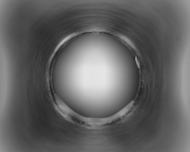 X0000083990942200703091842