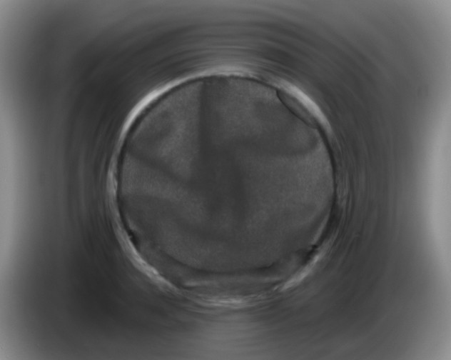 X0000083990944200703091842