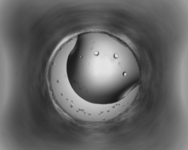 X0000083990950200703091842