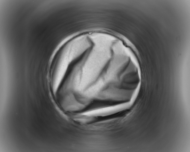 X0000083990951200703091842