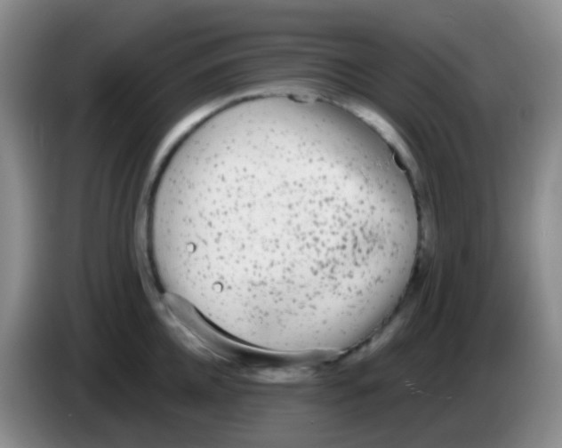 X0000083990952200703091842