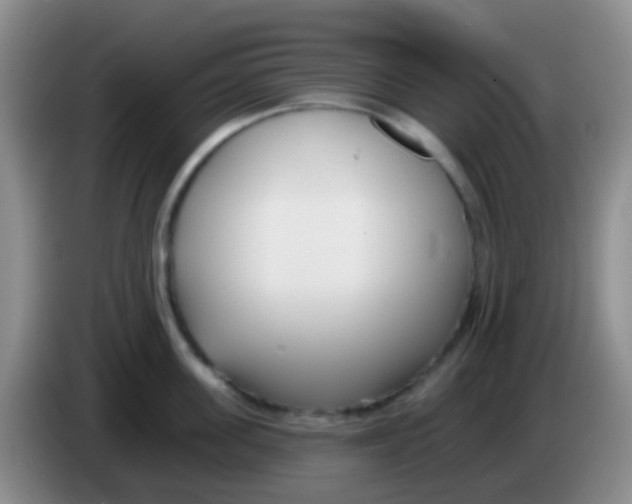 X0000083990955200703091842