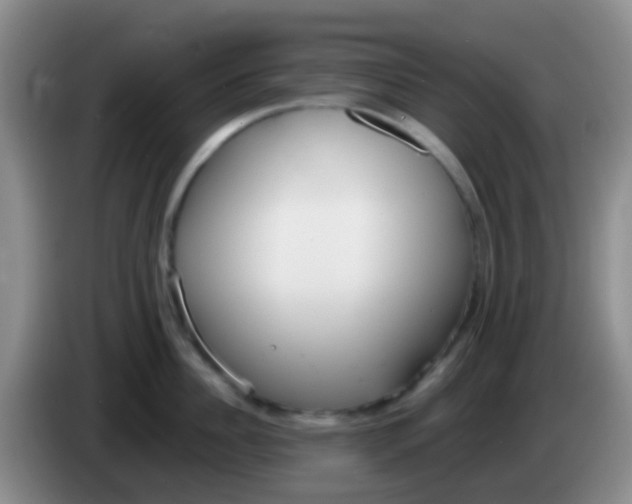 X0000083990956200703091842