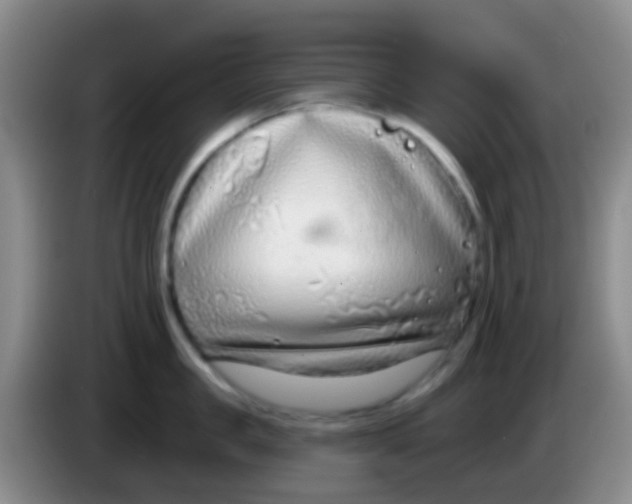 X0000083990957200703091842