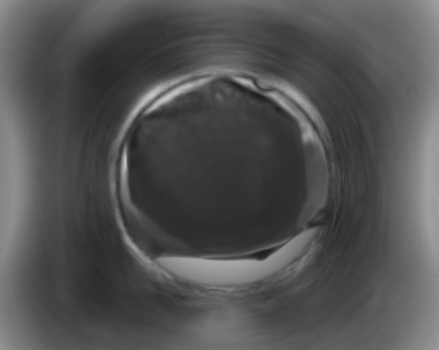 X0000083990958200703091842