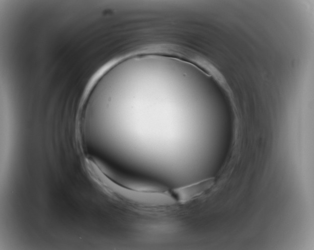 X0000083990960200703091842