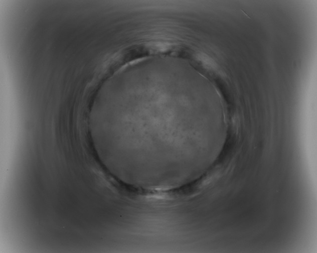 X0000083990961200703091842