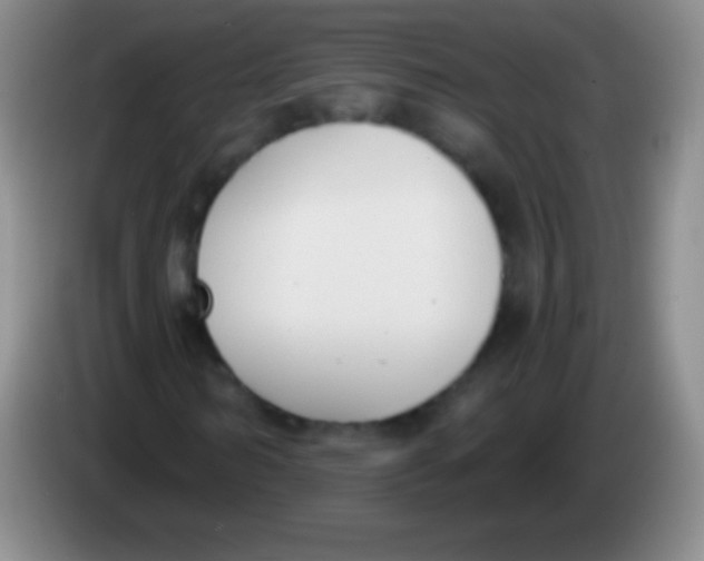 X0000083990962200703091842