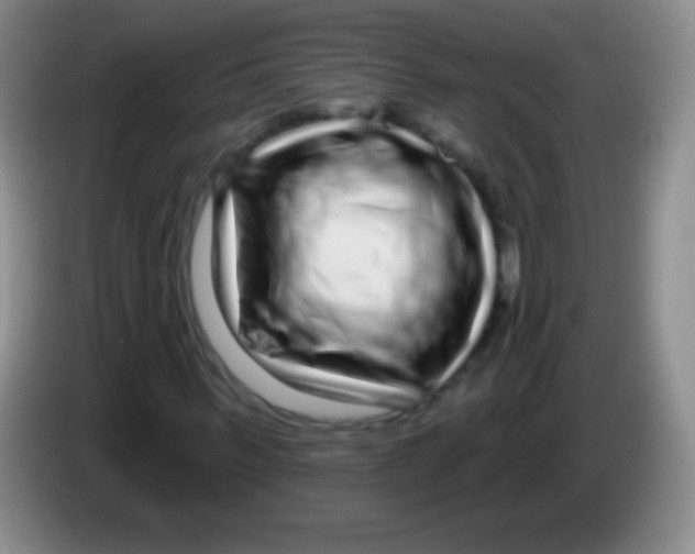 X0000083990963200703091842