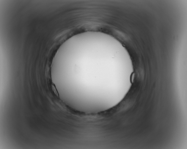 X0000083990964200703091842