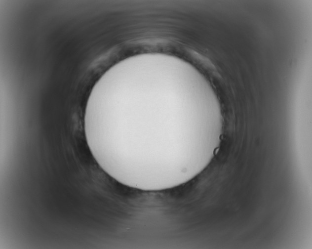 X0000083990966200703091842