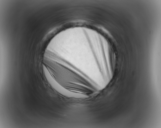 X0000083990967200703091842