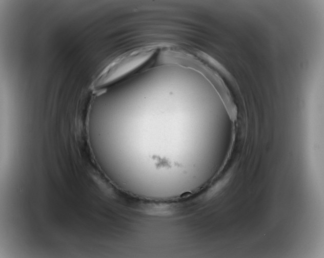 X0000083990969200703091842