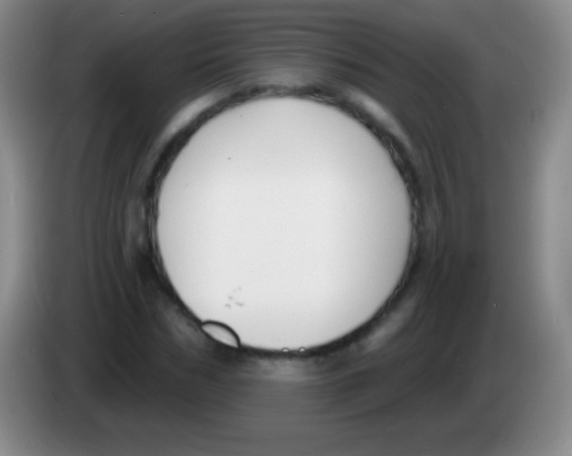 X0000083990970200703091842