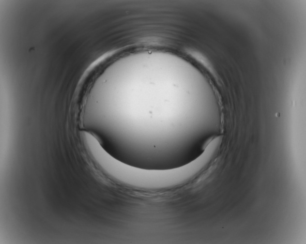 X0000083990971200703091842