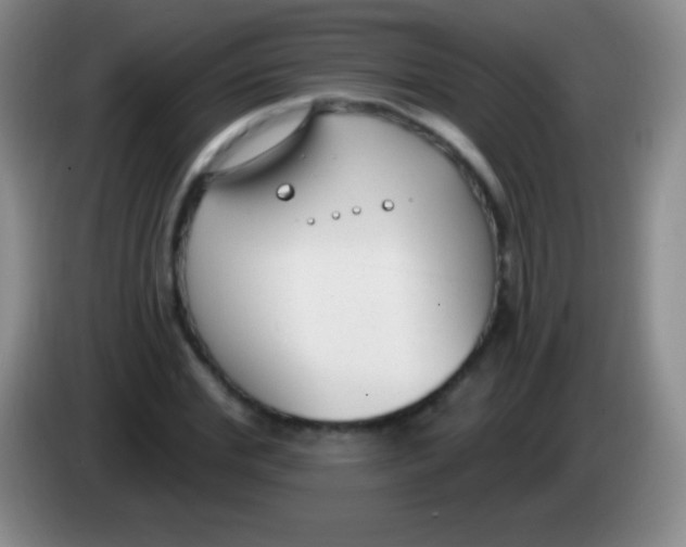 X0000083990972200703091842