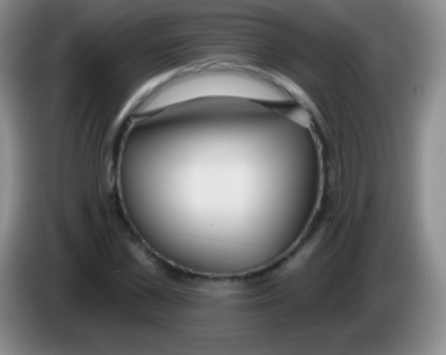 X0000083990973200703091842