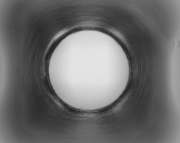 X0000083990974200703091842