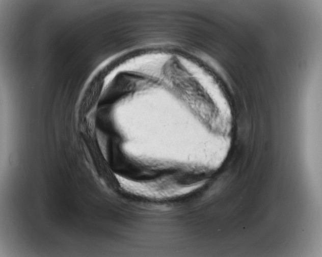 X0000083990975200703091842