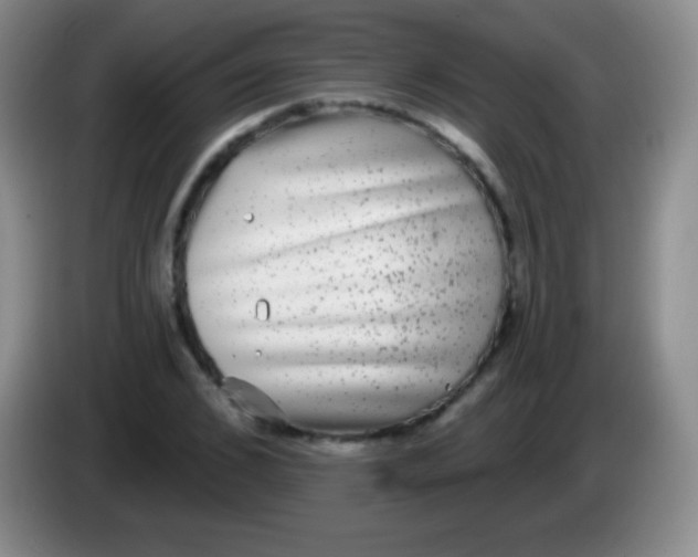 X0000083990976200703091842