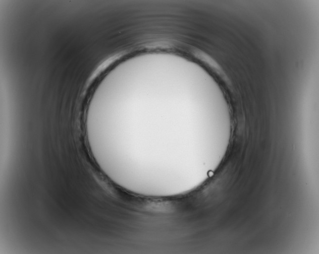 X0000083990978200703091842