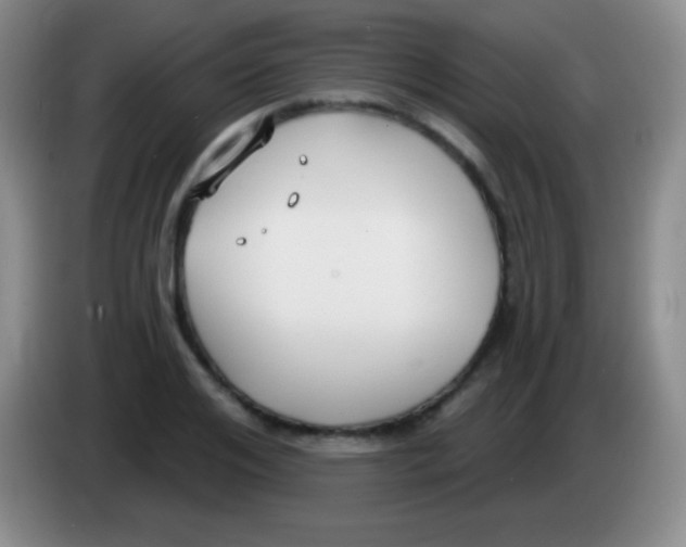 X0000083990984200703091841