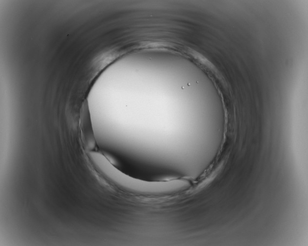 X0000083990985200703091841